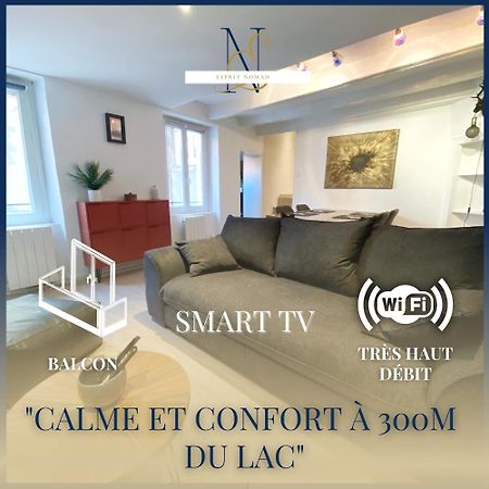Esprit Nomad - Appartement Rue Pietonne Proche Lac Annecy Exteriör bild